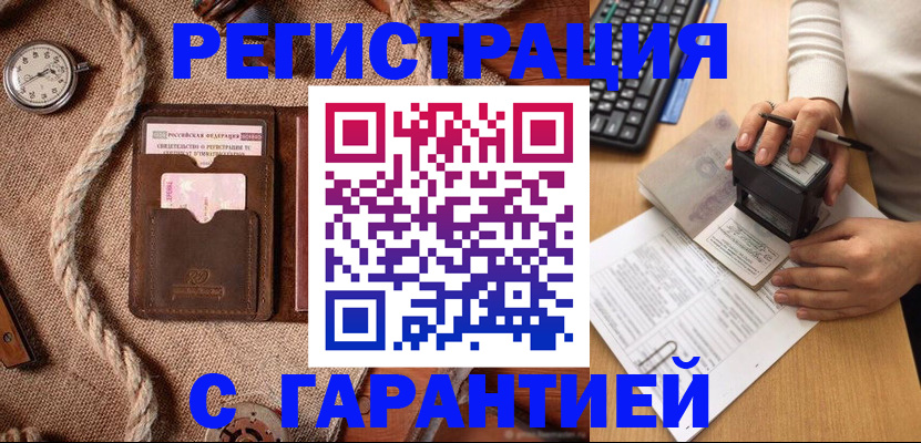 прописка гарантия в Новозыбкове